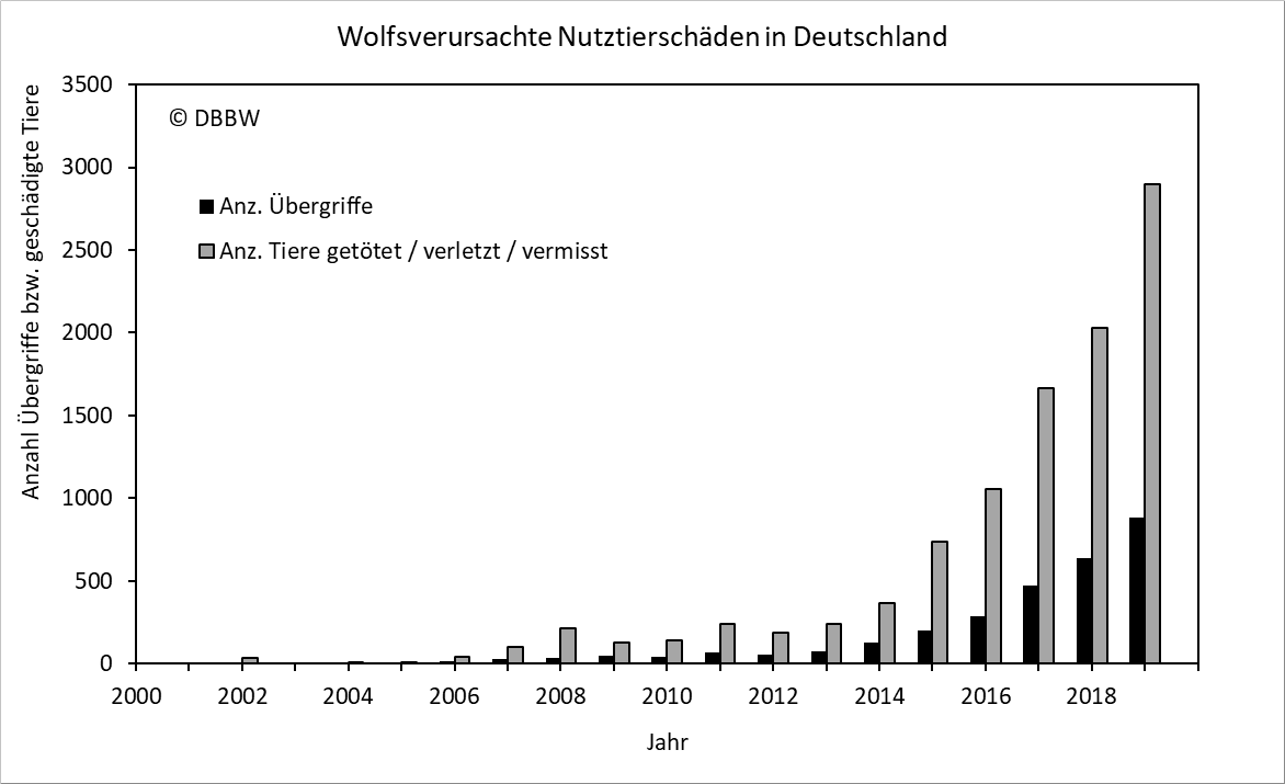 Grafik DBBW